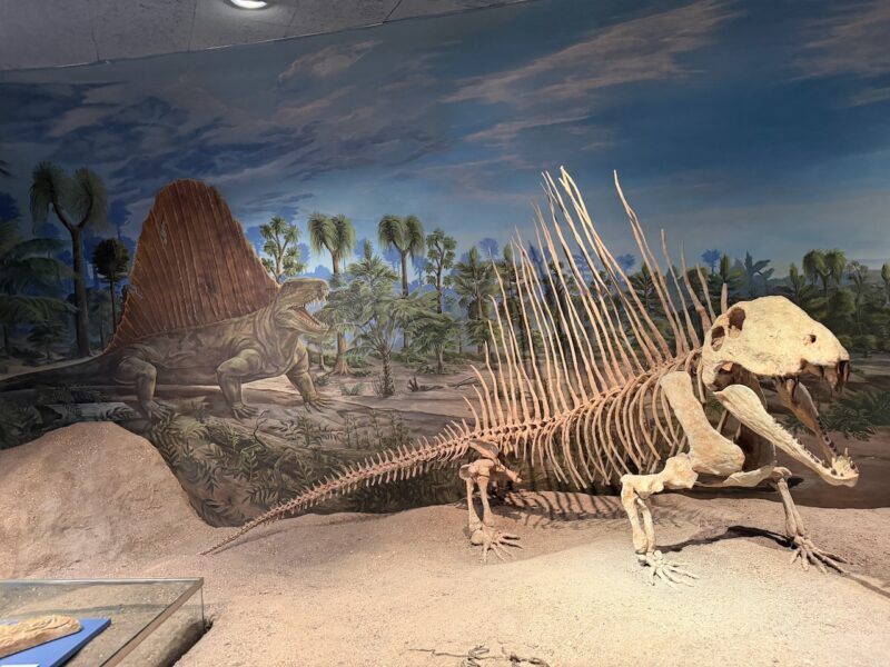 PlanetSKI Heads to Dinosaur Country